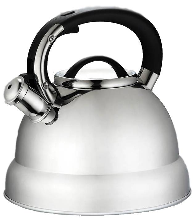 Чайник MAESTRO металевий 4 л (44820177148970)